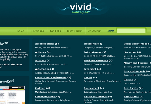 Vivid40 Template