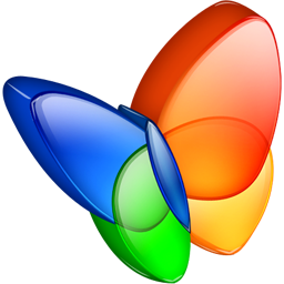 MSN Icon